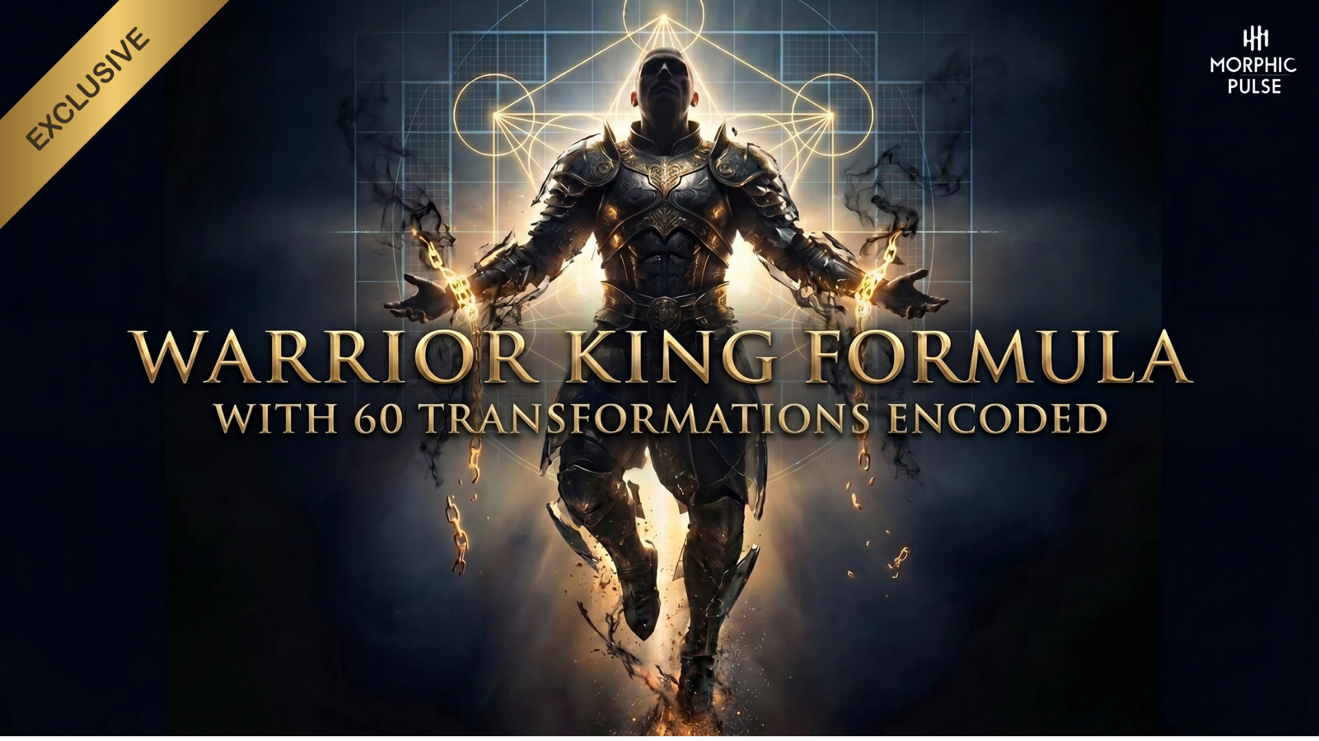 The Sovereign Man Blueprint 60-field morphic system cover art