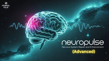 Core Command: Reclaim Your Nervous System's Power