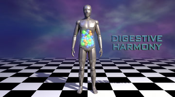Advanced Gut Restoration, Digestion & Nutrient Absorption