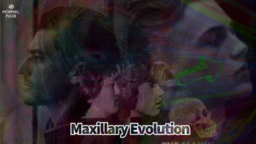 Transcendent Maxillary Evolution: Quantum Craniofacial Resonance Field