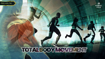 Advanced : Total Body Movement - Cartilage, Joints, Bones, Muscles
