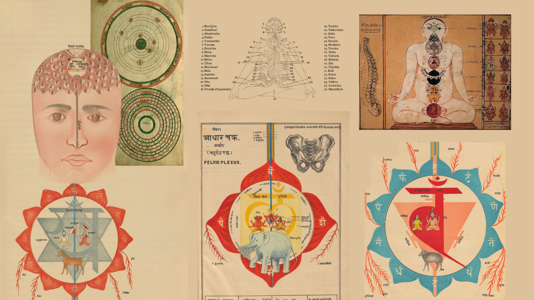 Kundalini Awakening energy system field cover art