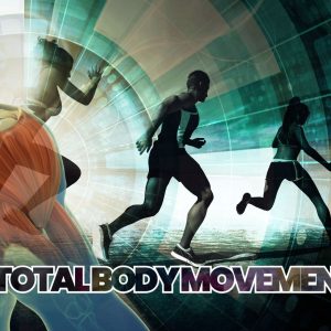 advanced : total body movement cartilage, joints, bones, muscles