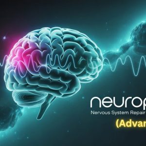 core command: reclaim your nervous system's power