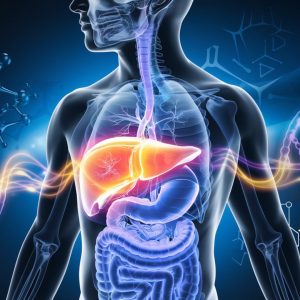 healing & detox of biliary system (liver, gallbladder and pancreas)